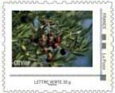 Stamp, Olive tree, France,  , Summer, Trees, Vegetables
