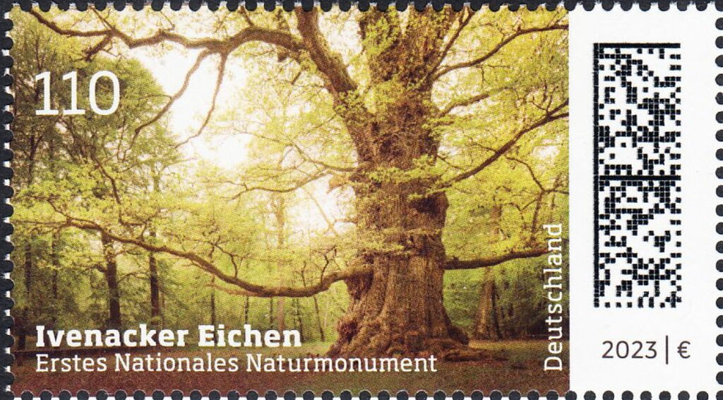 Ivenacker Eichen Natural Monument