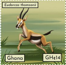 Eudorcas thomsonii