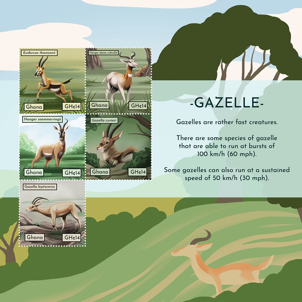 Gazelle