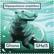 Hippopotamus amphibius