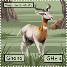 Nanger dama ruficollis
