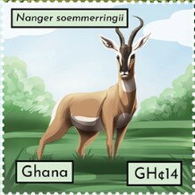 Nanger soemmerringil