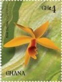 Stamp, Orchids of Africa, Ghana,  , Flowers, Orchids, Plants (Flora)