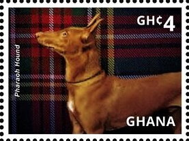 Stamp, Pharaoh Hound, Ghana,  , Animals (Fauna), Dogs, Mammals