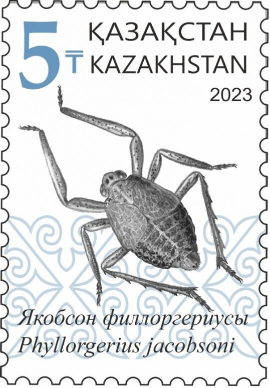 Phyllorgerius jacobsoni