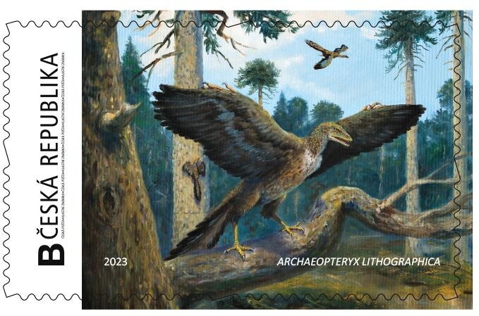 Archaeopteryx Lithographica