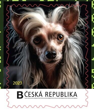 Čínský Chocholatý Pes