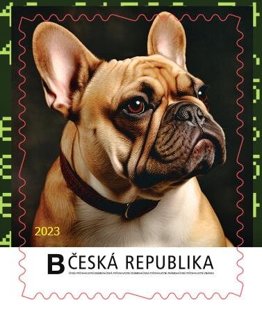 Francouzský buldoček