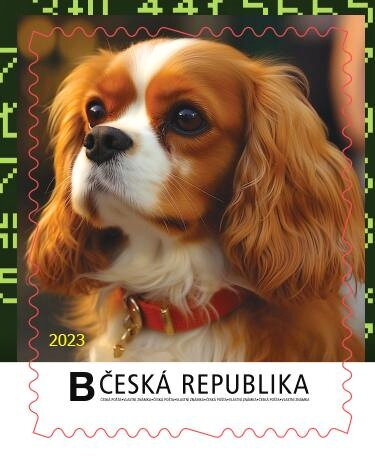 Kavalír King Charles španěl