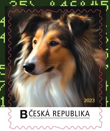 Kolie dlouhosrstá