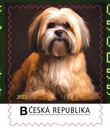 Lhasa apso
