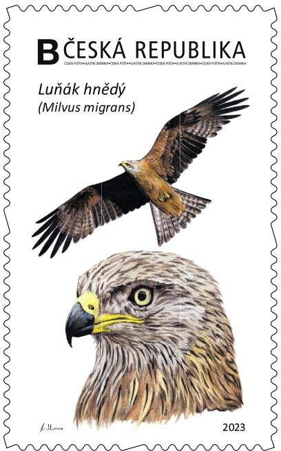 Luňák hnědý
