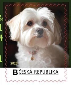 Stamp, Maltézský psík, Personalized and Private Mail Stamps,  , Animals (Fauna), Computer Sciences, Dogs, Stylized Animals