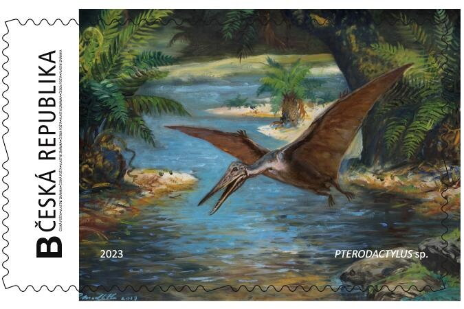 PTERODACTYLUS sp.