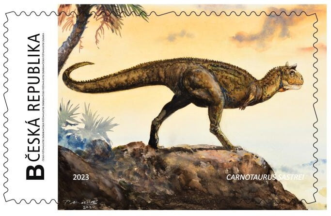 TRICERATOPS sp.