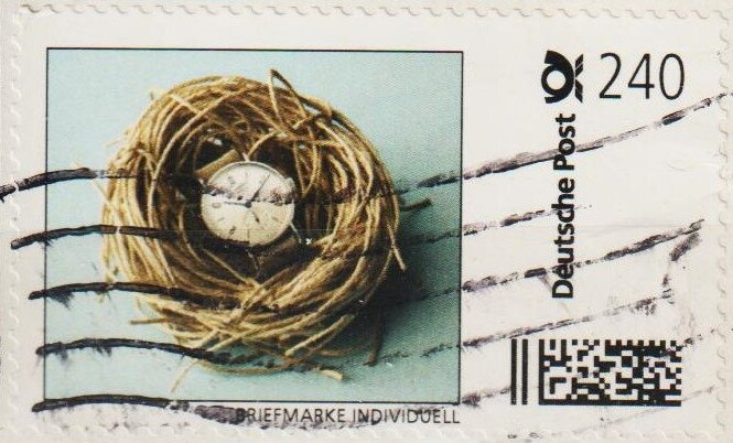 Watch in a nest