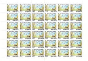 Full Pane, Western Capercaillie (Tetrao urogallus), Russia,  , Birds, Joint Issues, National Parks