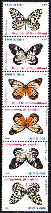 Butterflies