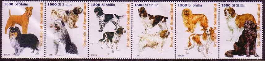 Dogs