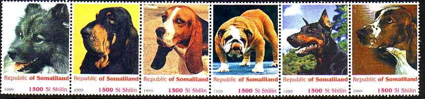 Dogs