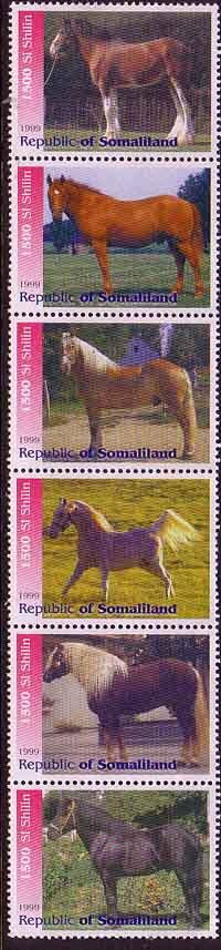 Horses