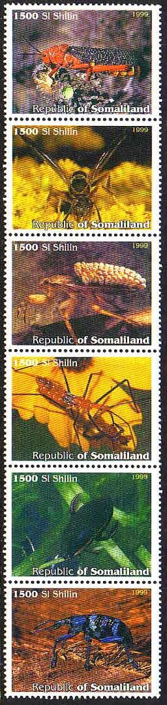 Insects