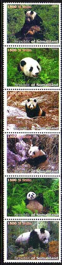 Pandas