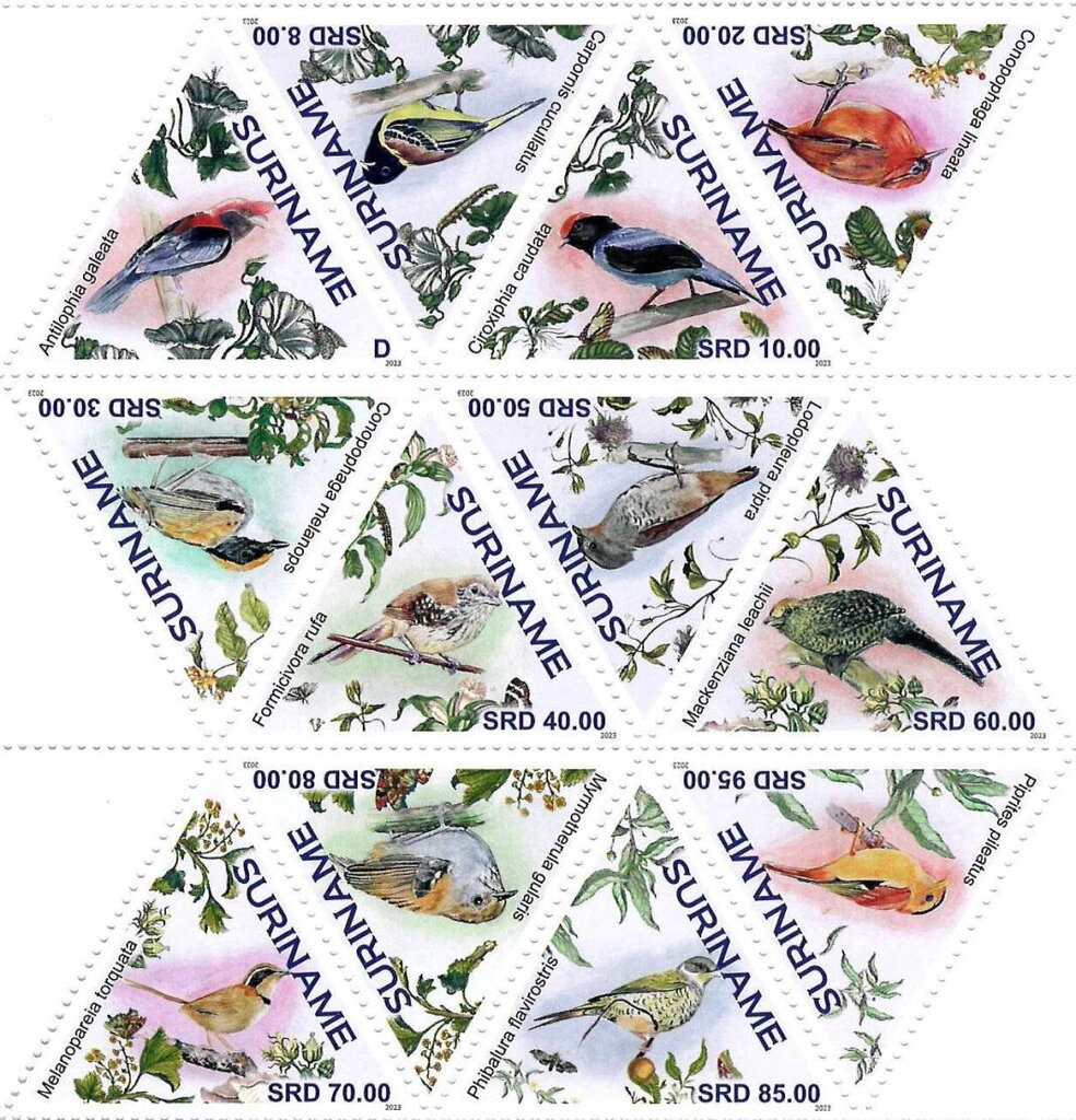 Birds