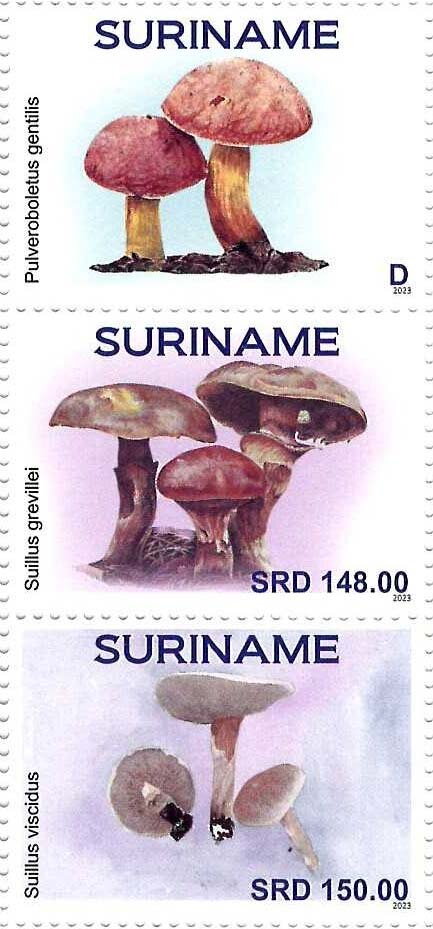 Mushrooms
