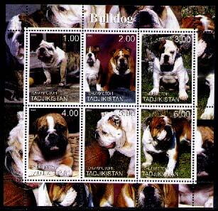 Mini Sheet, Buldogs, Tajikistan,  , Animals (Fauna), Dogs, Mammals