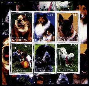 Dogs