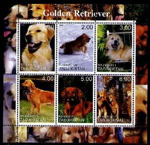 Mini Sheet, Golden Retrievers, Tajikistan,  , Animals (Fauna), Dogs, Mammals