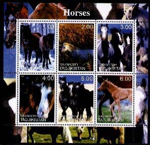 Horses