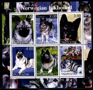 Norwegian Elkhounds