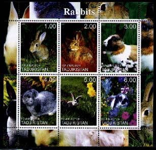 Rabbits