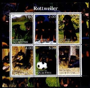 Rottweiler