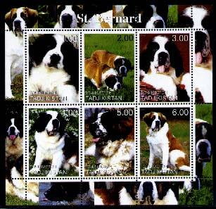 ST Bernards