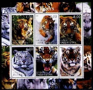 Tigers