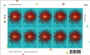 Full Pane, New Year 2013, Thailand,  , Firework, New Year