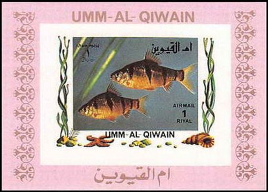 Tropical Fish