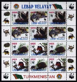 Wwf