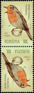 Tete-Beche, European Robin (Erithacus rubecula), Romania,  , Animals (Fauna), Birds, Music