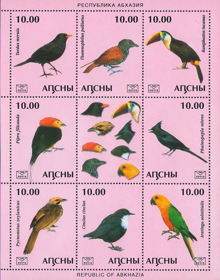 Birds