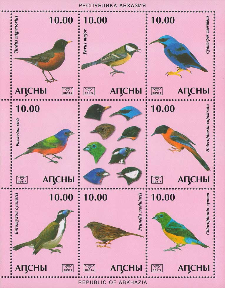 Birds