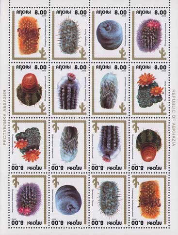 Cactus
