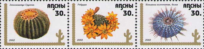 Cactuses
