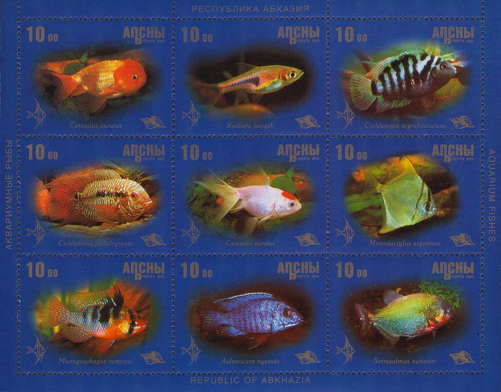 Fish