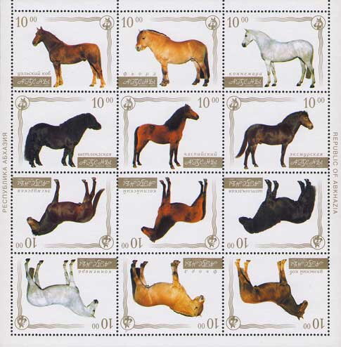 Horses