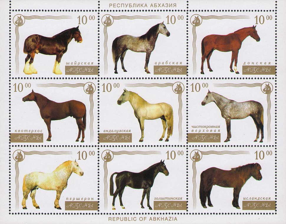 Horses